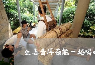 生姜普洱茶能一起喝吗/2023061591825