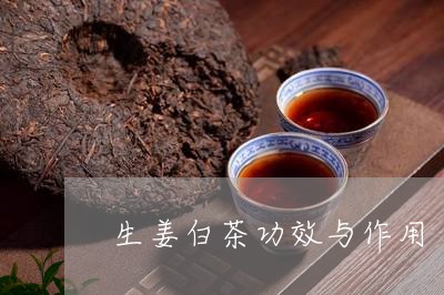 生姜白茶功效与作用/2023072121693