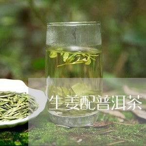 生姜配普洱茶/2023042757456