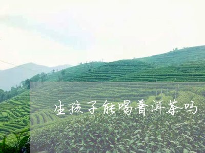 生孩子能喝普洱茶吗/2023120514836