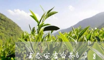 生态安吉白茶60g/2023071418603