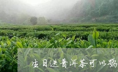 生日送普洱茶可以嘛/2023120512827