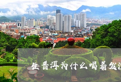 生普洱为什么喝着发涩/2023061459380