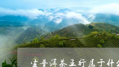 生普洱茶五行属于什么/2023072366047