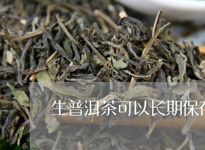 生普洱茶可以长期保存吗/2023122067370