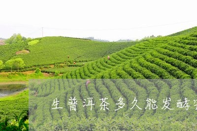生普洱茶多久能发酵完成/2023121863718
