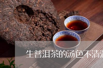 生普洱茶的汤色不清澈/2023121826370