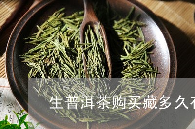 生普洱茶购买藏多久有价值/2023122026383