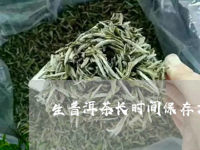 生普洱茶长时间保存方法/2023122036264