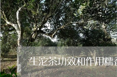 生沱茶功效和作用糯香生沱是什么茶/2023060453925