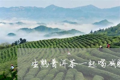 生熟普洱茶一起喝减肥有效果吗/2023082835938