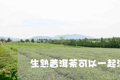 生熟普洱茶可以一起泡/2023061572936