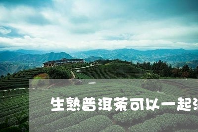 生熟普洱茶可以一起泡/2023092672916