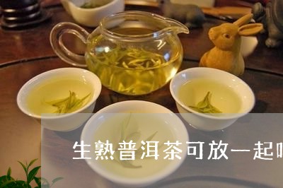 生熟普洱茶可放一起吗/2023092817059