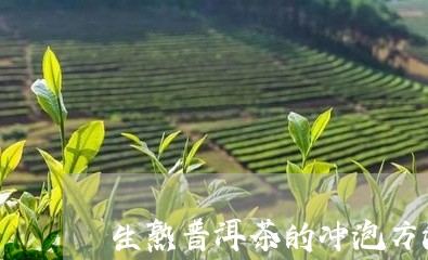 生熟普洱茶的冲泡方法视频讲解/2023121881825