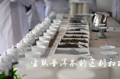 生熟普洱茶的区别和功效图片大全/2023121819625