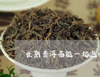 生熟普洱茶能一起泡吗/2023061452159