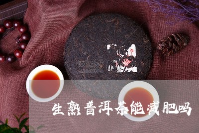 生熟普洱茶能减肥吗/2023112657169