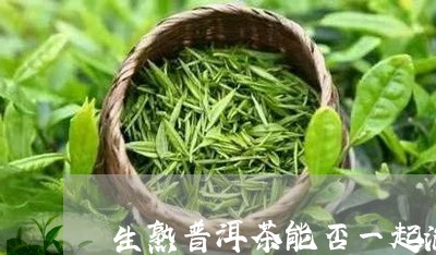 生熟普洱茶能否一起泡/2023092622826