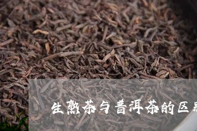 生熟茶与普洱茶的区别/2023100748271