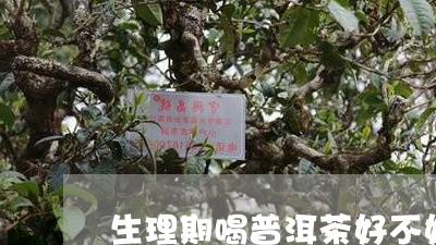 生理期喝普洱茶好不好/2023061586138