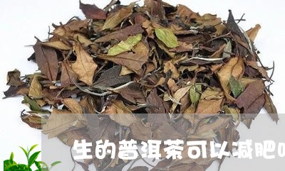 生的普洱茶可以减肥吗/2023092954815