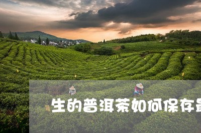 生的普洱茶如何保存最好/2023110728471