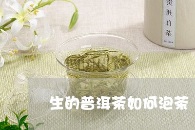 生的普洱茶如何泡茶/2023120561613