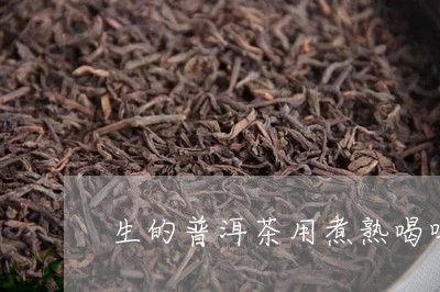 生的普洱茶用煮熟喝吗/2023072261481