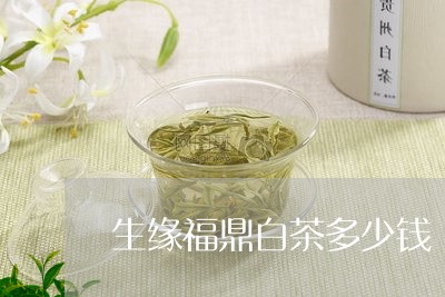 生缘福鼎白茶多少钱/2023120789714