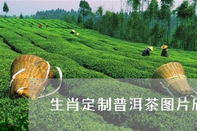 生肖定制普洱茶图片欣赏/2023102584957