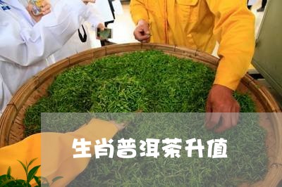 生肖普洱茶升值/2023102624139