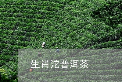 生肖沱普洱茶/2023042852787