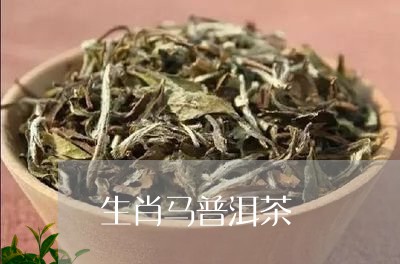 生肖马普洱茶/2023101693917