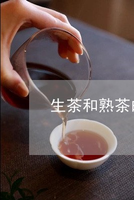 生茶和熟茶的口感区别/2023061059515