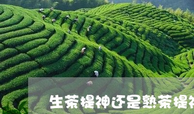 生茶提神还是熟茶提神熟普洱提神吗/2023060368573