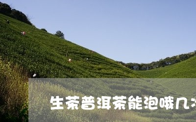 生茶普洱茶能泡哦几次/2023062277259