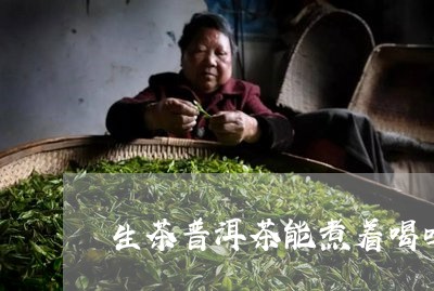 生茶普洱茶能煮着喝吗/2023062446370