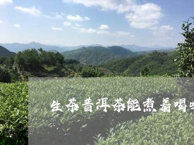 生茶普洱茶能煮着喝吗/2023073166359