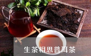 生茶相思普洱茶/2023102638370