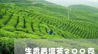 生香普洱茶200克/2023120588370