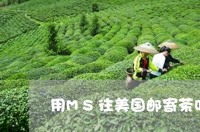 用MS往美国邮寄茶叶/2023092303068