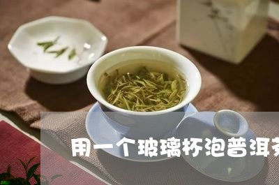 用一个玻璃杯泡普洱茶/2023061496491