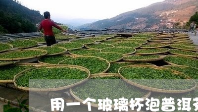 用一个玻璃杯泡普洱茶/2023092543824