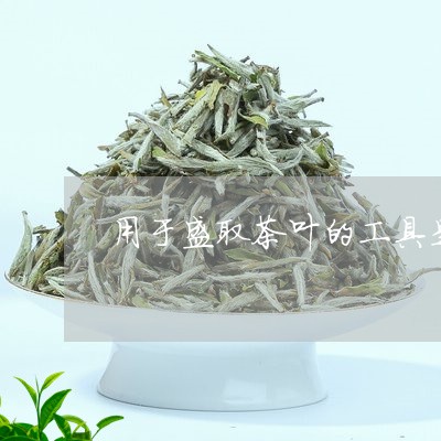 用于盛取茶叶的工具是/2023061197380