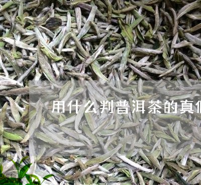 用什么判普洱茶的真假/2023082724068