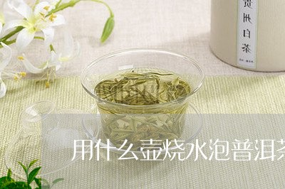 用什么壶烧水泡普洱茶/2023092967358