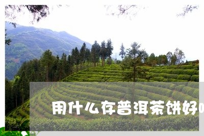 用什么存普洱茶饼好喝又实惠/2023110762604