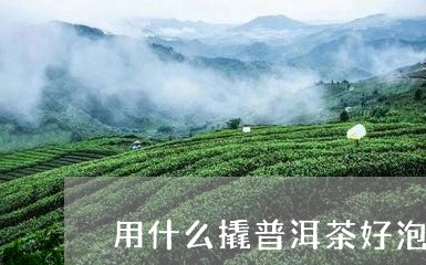 用什么撬普洱茶好泡茶/2023110788260