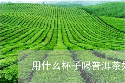 用什么杯子喝普洱茶好/2023061759482